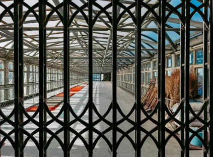 Paripesa Kaszinó Mobilalkalmazás